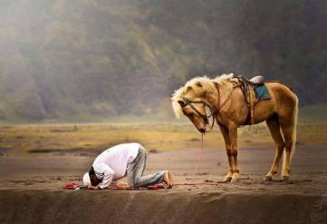 14656276_10154597230363185_2777924262554510289_n