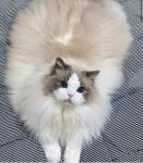 101384436_3148548035210723_2848177433146818560_n