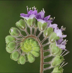 Screenshot 2020-06-11 at 22.22.47&nbsp;copy