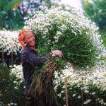 13912485_10154383113398185_7852985042905704850_n